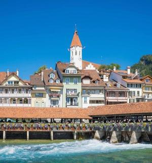 一群人站在河上的桥上