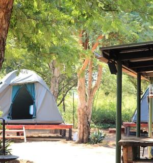 two tents in a park next to trees