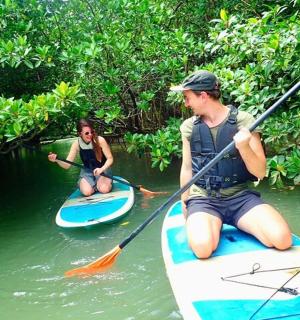 a man and a woman on paddle boards in the water