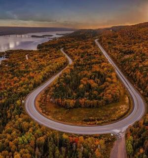 an empty road in the middle of a forest with autumn trees