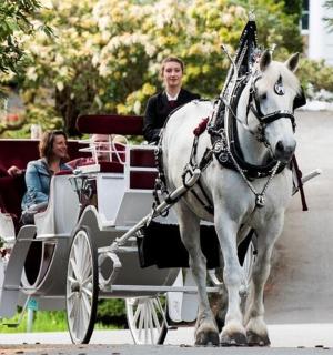 一男一女乘坐马车