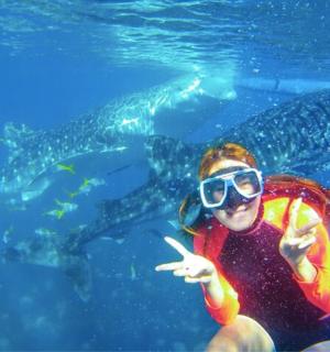 una persona in acqua accanto a uno squalo balena