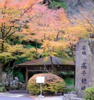 ein Garten mit einem Pavillon mit Herbstbäumen
