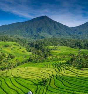 Letecký pohled na zelené pole s horami v pozadí