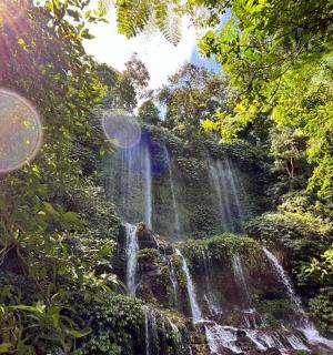 a waterfall in the middle of a forest