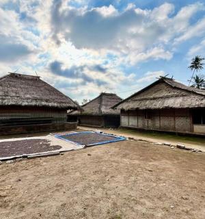 a group of buildings with thatched roofs and a field