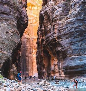a group of people standing in a river in a canyon