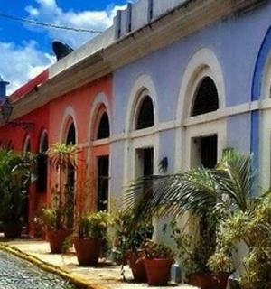 一栋色彩缤纷的建筑，侧面有植物