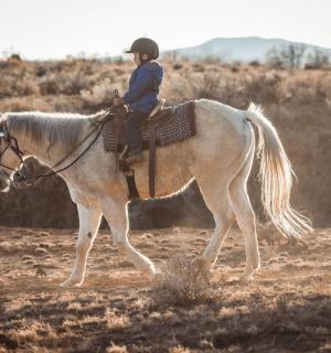 ein Kind, das auf einem Pferd auf einem Feld reitet