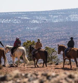 eine Gruppe von Menschen reitet auf einem Hügel