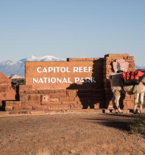 ein Mann mit einem Kamel vor einem Schild