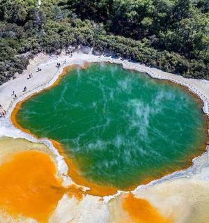 an aerial view of a large pool of green water