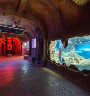 a tunnel with a large aquarium in a building