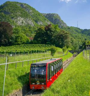 a red train on a track with a mountain
