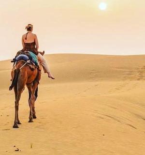 a person riding a camel in the desert