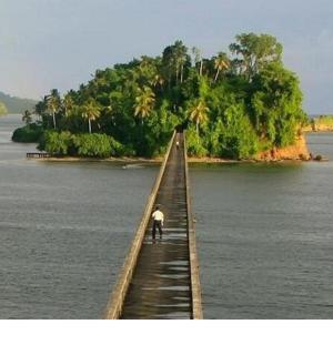 a man standing on a wooden bridge in the water