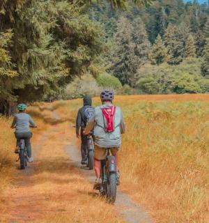 three people riding bikes down a dirt trail