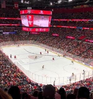 a crowd of people watching a hockey game