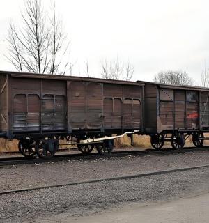 一辆棕色的火车车厢停在铁轨上