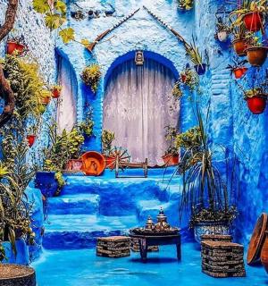 一间有盆栽和窗户的蓝色房间