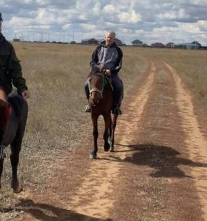 two men riding horses on a dirt road with a dog
