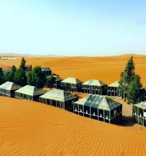 沙漠鸟瞰图,树木和建筑物