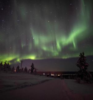 an aurora in the sky with trees in the snow