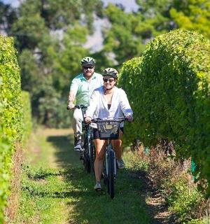 一男一女骑着自行车沿着小路前行