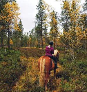 一名女子在田野里骑马