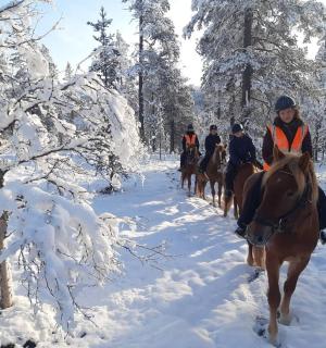一群人在雪地里骑马