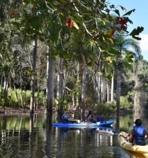 tři lidé v kajacích na řece se stromy