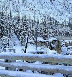 ein schneebedeckter Zaun neben einem Berg