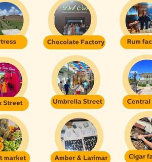 sada různých obrázků různých druhů jídla