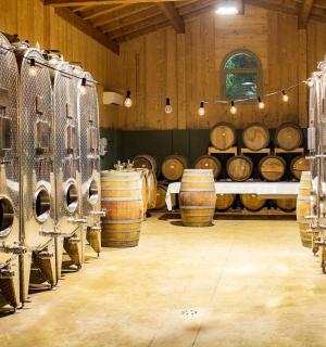 一间摆满酒桶的房间