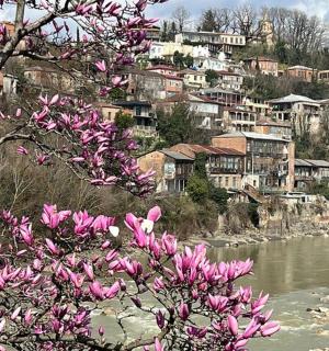 a group of houses on a hill next to a river