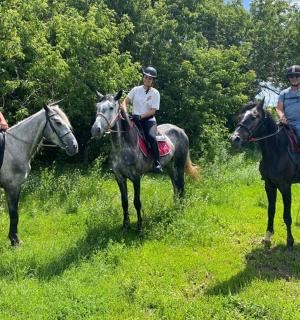 a group of three men riding horses in a field
