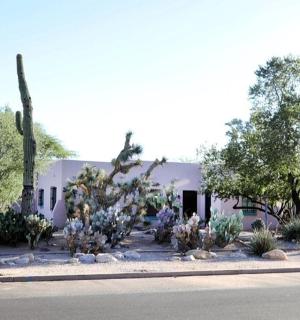 街道两旁有树木和植物的建筑