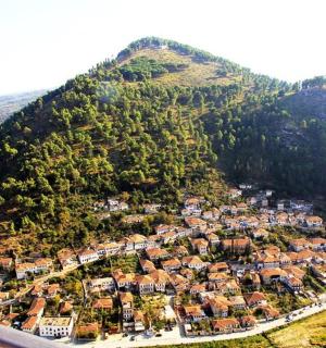 an aerial view of a village on a mountain