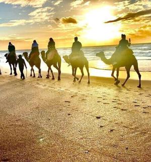 一群人在海滩上骑马