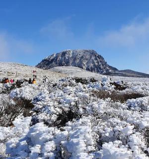 zasněžené pole s horou v pozadí
