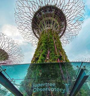 城市中的天体天文台景观