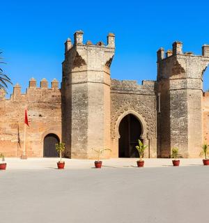 hrad s palmou před ním