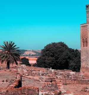 vysoká věž uprostřed pole