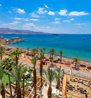 a view of a beach with palm trees and the ocean