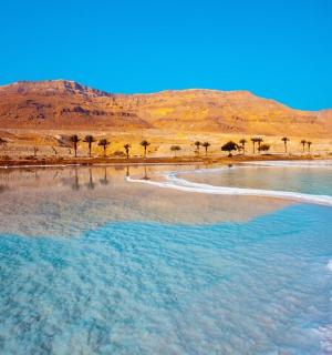 一片有棕榈树和山脉的水域