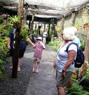 a group of people walking through a garden