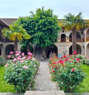 有粉色花朵和棕榈树的庭院