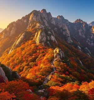 hora s podzimním listím