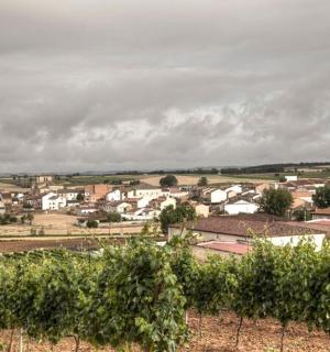 pohled na město s hrozen