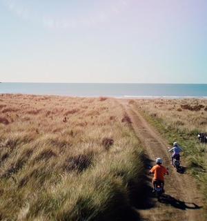 两个人在水边的土路上骑自行车